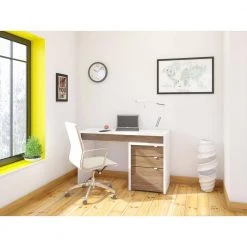 Liber-T 47.75 in. W Rectangular White Melamine and Walnut Laminate Wood Reversible Writing Desk with File Cabinet by Nexera -Nexera Sales Store white melamine and walnut laminate nexera computer desks 400609 31 1000